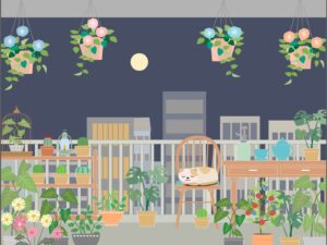 夜のベランダ